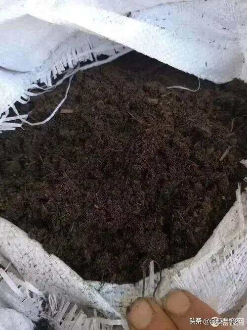 种植丝瓜、南瓜最忌怕哪些施肥方法？如何施肥才高产