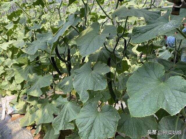 文章图片1